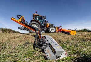 Cosire-vegetatie-drumuri