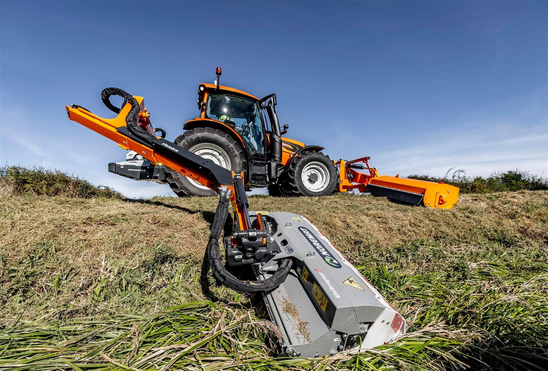 Cosire-vegetatie-drumuri